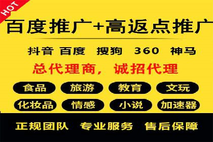 竞价SEM托管案例：精准营销的利器